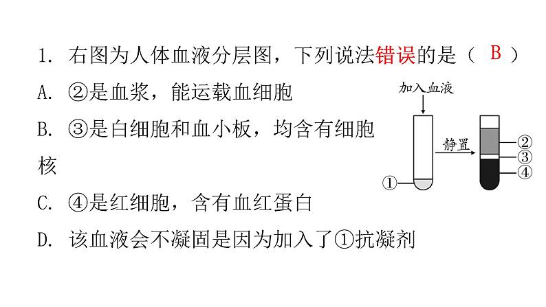 北师大版七年级生物下册第九章过关训练课件第3页