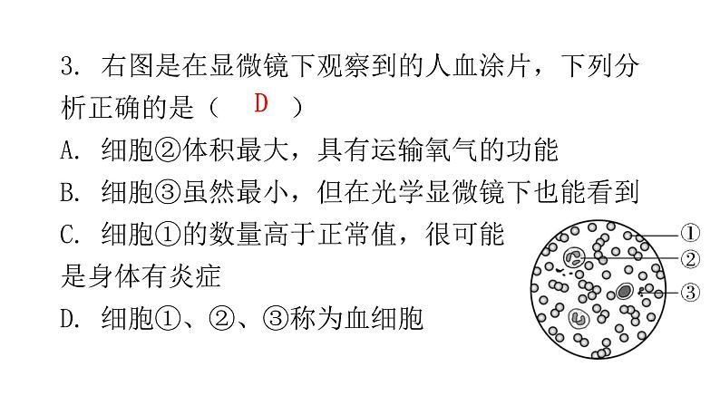 北师大版七年级生物下册第九章过关训练课件第5页