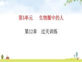 北师大版七年级生物下册第十二章过关训练课件
