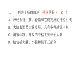 北师大版七年级生物下册第十二章过关训练课件