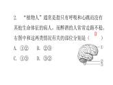 北师大版七年级生物下册第十二章过关训练课件