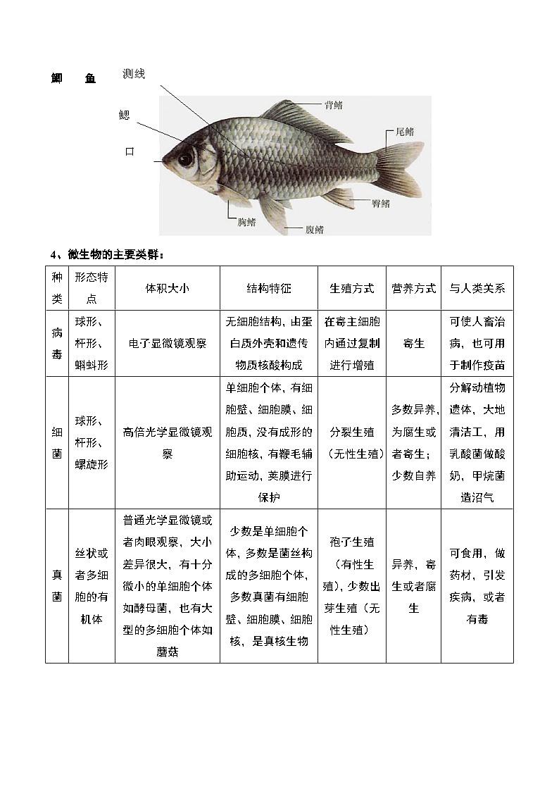 苏教版八年级上册生物知识点总结03