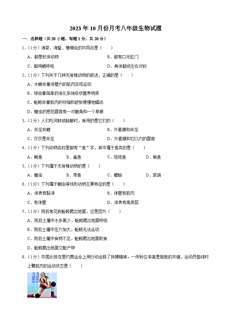 吉林省长春市榆树市八号镇中学2023-2024学年八年级上学期10月月考生物试题第1页