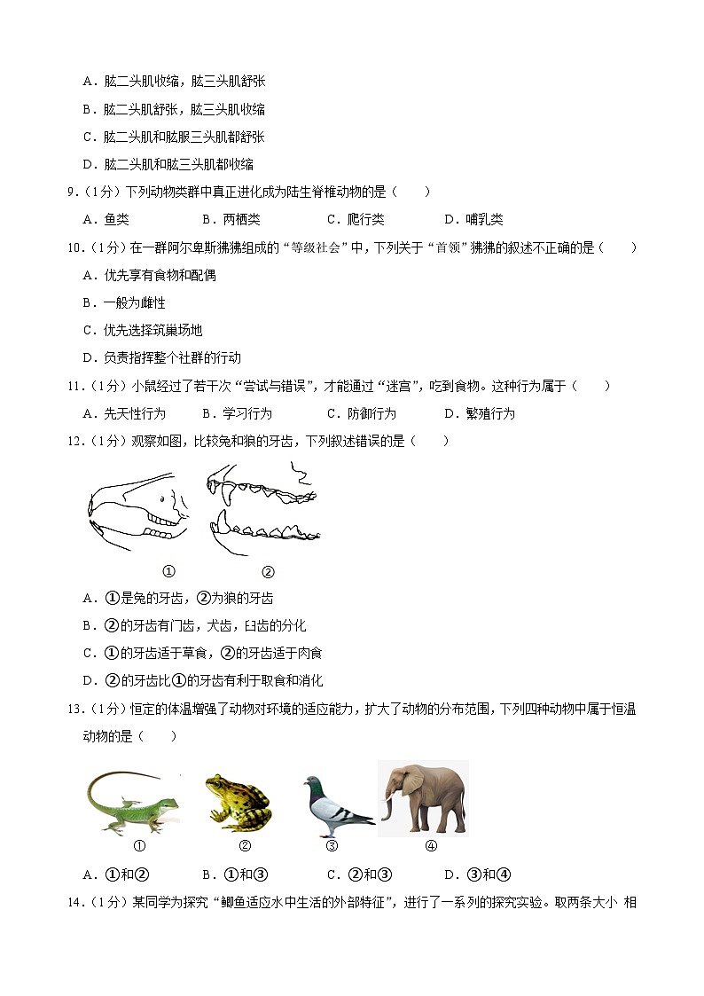 吉林省长春市榆树市八号镇中学2023-2024学年八年级上学期10月月考生物试题第2页