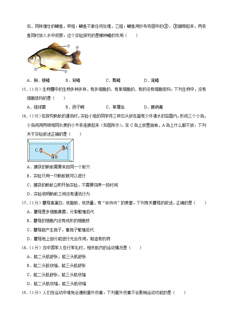 吉林省长春市榆树市八号镇中学2023-2024学年八年级上学期10月月考生物试题第3页