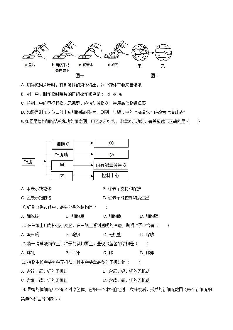 2022-2023学年山东省临沂市蒙阴县七年级（上）期末生物试卷（含解析）02