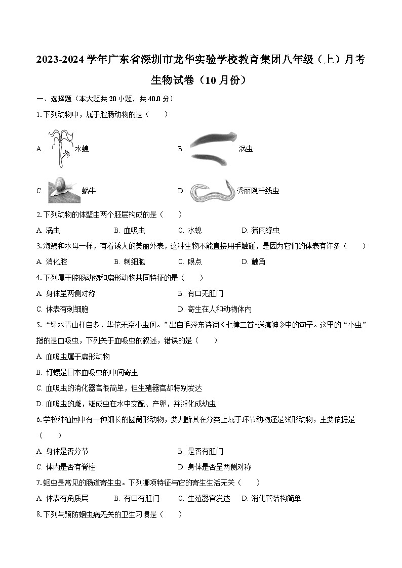 2023-2024学年广东省深圳市龙华实验学校教育集团八年级（上）月考生物试卷（10月份）（含解析）第1页