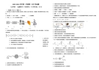 山东省武城县甲马营乡中学2023-2024学年七年级上学期第一次月考生物试题