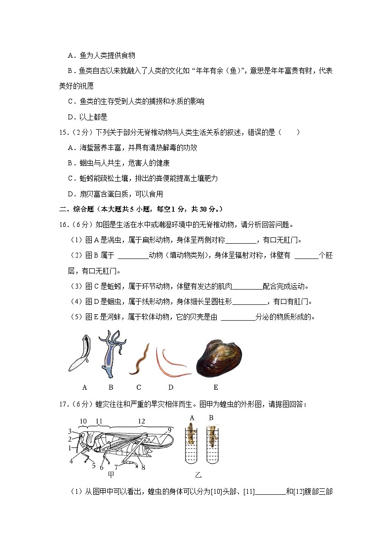 广西南宁市江南区吴圩镇初级中学2023-2024学年八年级上学期调研生物试卷（9月份）（月考）第3页