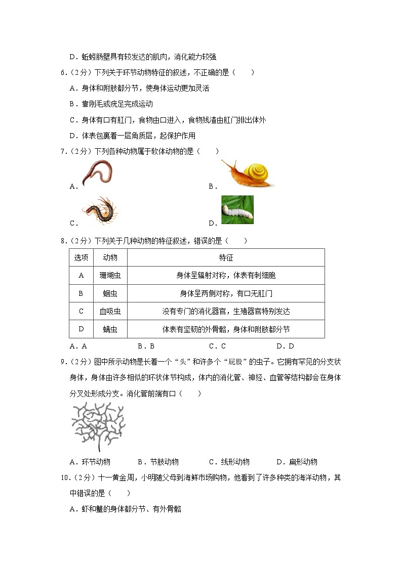 河北省石家庄市赵县2023-2024学年八年级上学期完美测评生物试题（月考）第2页