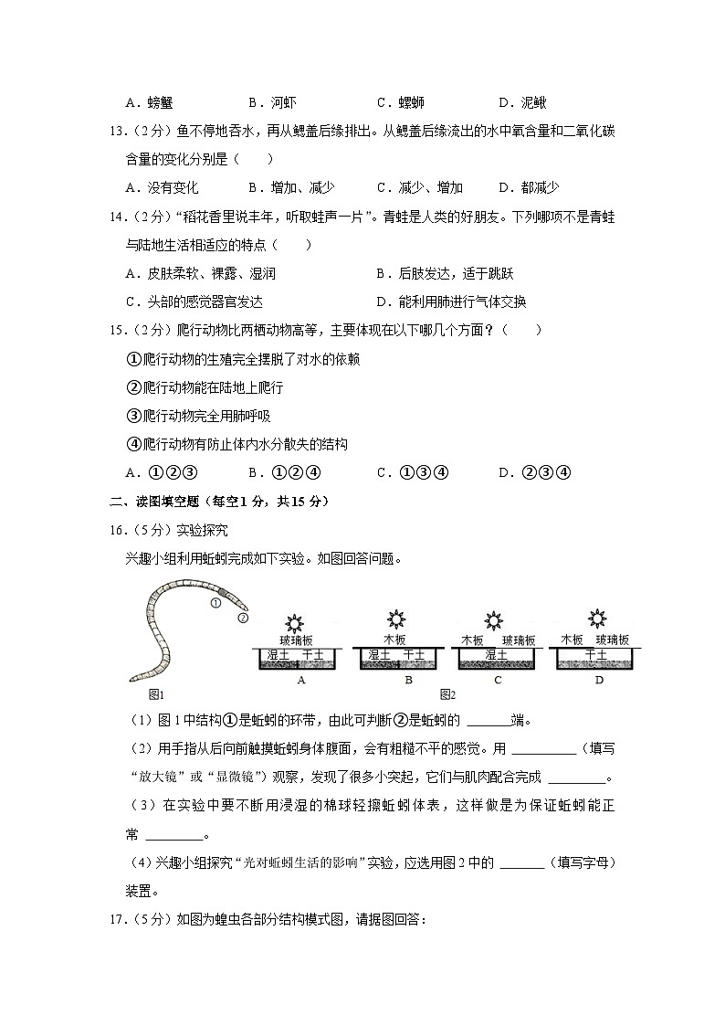 河南省南阳市内乡县赵店初级中学2023-2024学年八年级上学期月考生物试卷（9月份）第3页