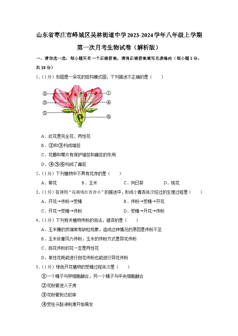 山东省枣庄市峄城区吴林街道中学2023-2024学年八年级上学期第一次月考生物试卷第1页