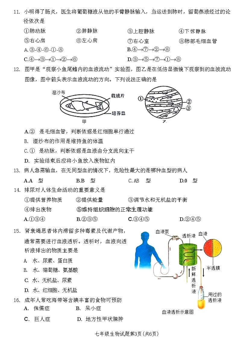 河南省许昌市建安区2021—2022学年度下期期末考试试题七年级生物附答案03