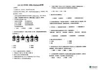 山东省德州市宁津县第六实验中学2023-2024学年七年级上学期10月月考生物试题