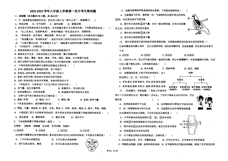 河南省南阳市第十九中学2023-2024学年八年级上学期第一次月考生物试卷第1页