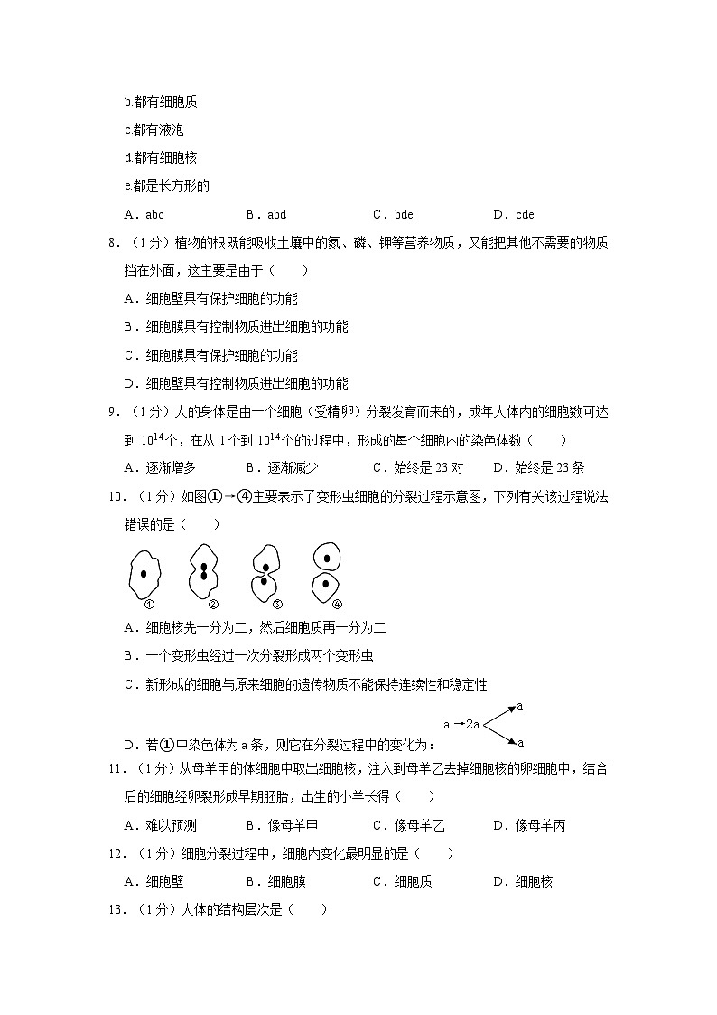河南省漯河市郾城区宏昌学校2023-2024学年七年级上学期月考生物试卷（9月份）02