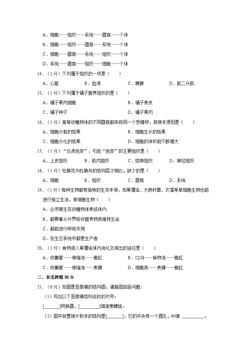 河南省漯河市郾城区宏昌学校2023-2024学年七年级上学期月考生物试卷（9月份）03