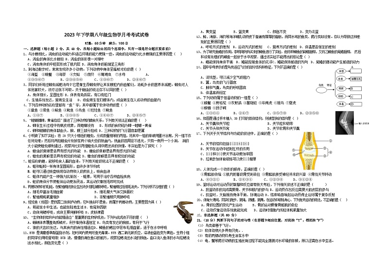 湖南省岳阳市第十九中学2023-2024学年八年级上学期10月月考生物试题第1页