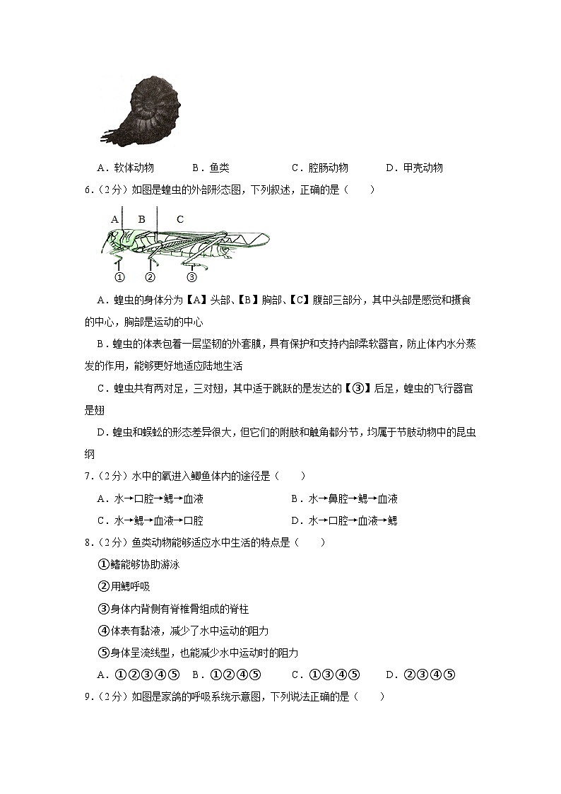 四川省达州市渠县东安雄才学校2023-2024学年八年级上学期月考生物试卷（9月份）第2页