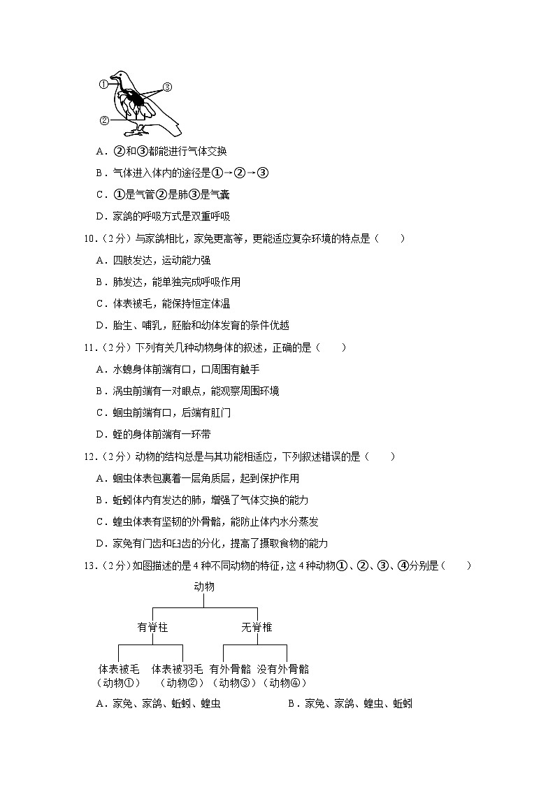 四川省达州市渠县东安雄才学校2023-2024学年八年级上学期月考生物试卷（9月份）第3页