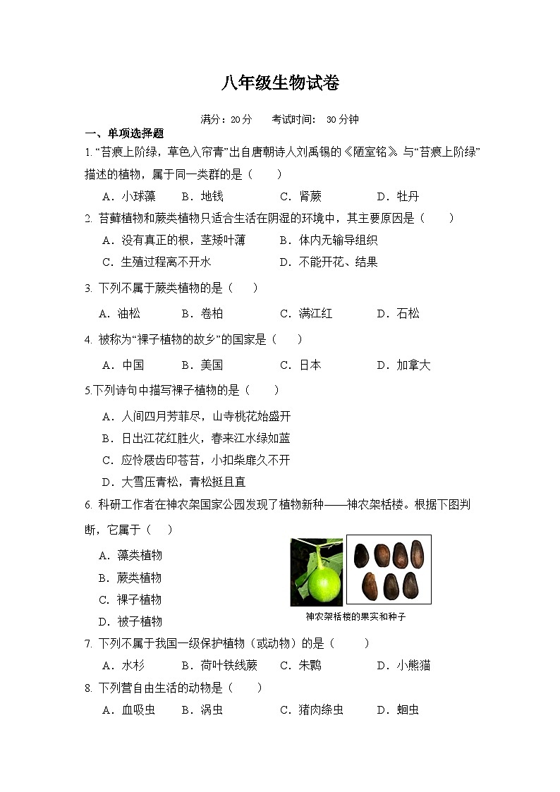 八年级生物试卷第1页