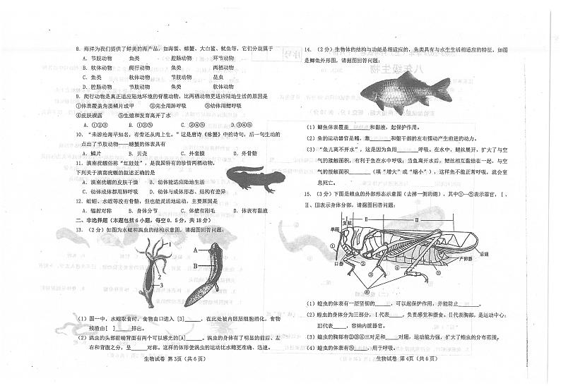 辽宁省大连市金州区2023-2024学年八年级上学期10月月考生物试卷第2页