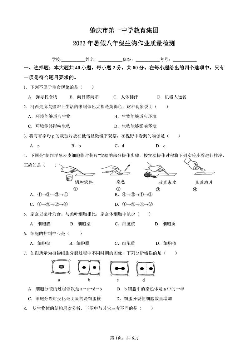 广东省肇庆市第一中学2023-2024学年八年级上学期8月开学暑期检测生物01