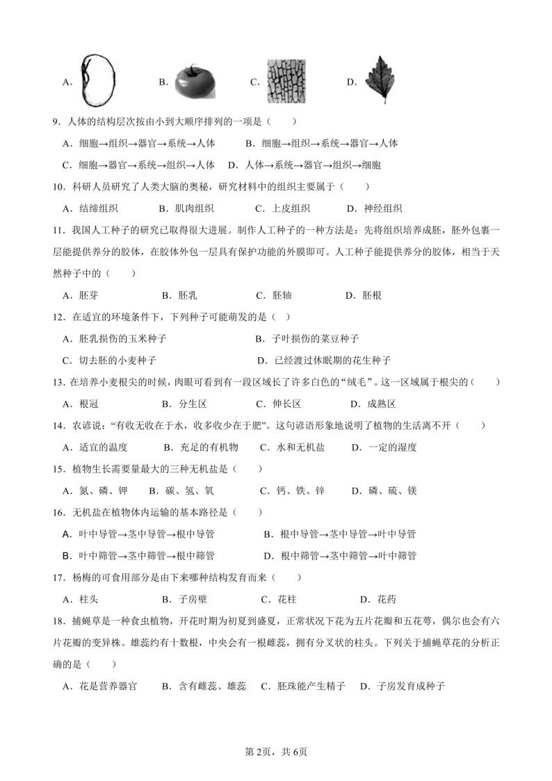 广东省肇庆市第一中学2023-2024学年八年级上学期8月开学暑期检测生物02