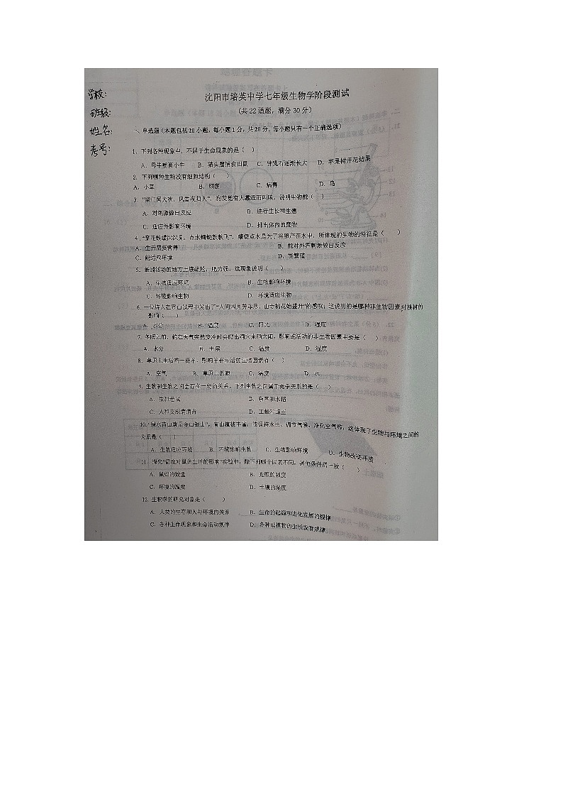 辽宁省沈阳市培英中学2023-2024学年七年级上学期10月月考生物试题01