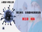 第五章《病毒》课件人教版生物八年级上册
