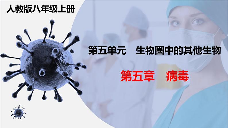 第五章《病毒》课件人教版生物八年级上册02