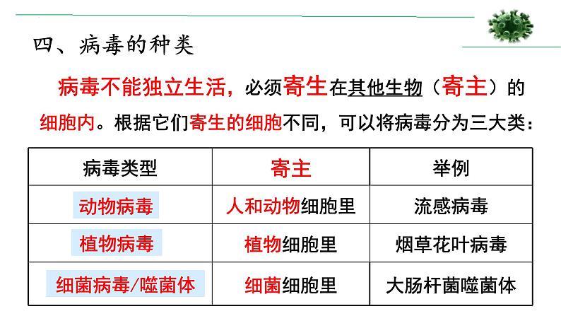 第五章《病毒》课件人教版生物八年级上册08