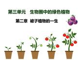 第三单元第二章第一节《种子的萌发》课件人教版七年级上册生物