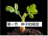 第三单元第二章第一节《种子的萌发》课件人教版七年级上册生物