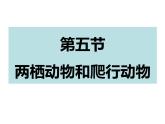 第五单元第一章第五节《两栖动物和爬行动物》课件人教版生物八年级上册