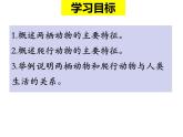 第五单元第一章第五节《两栖动物和爬行动物》课件人教版生物八年级上册