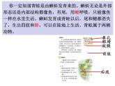 第五单元第一章第五节《两栖动物和爬行动物》课件人教版生物八年级上册