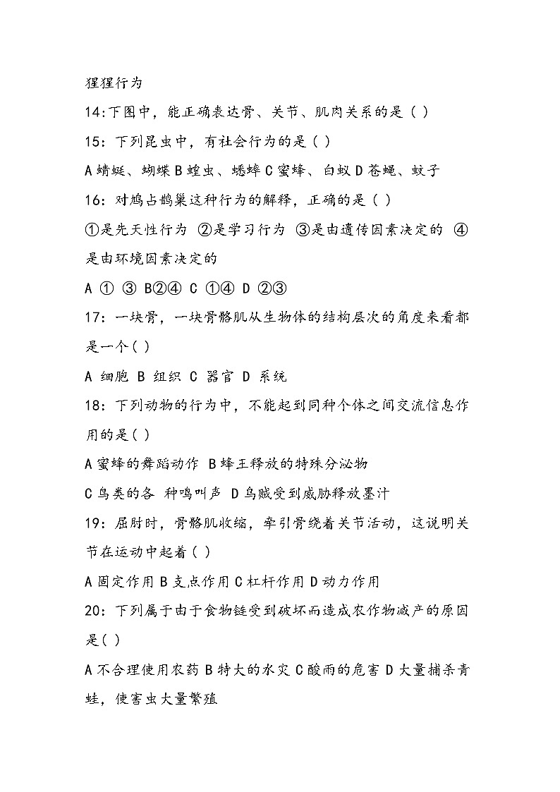 八年级生物上册期中模拟试题（新人教版）第3页