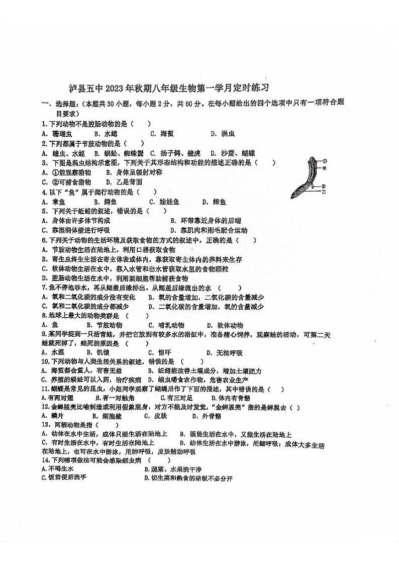 四川省泸县第五中学2023-2024学年八年级上学期10月月考生物试题01