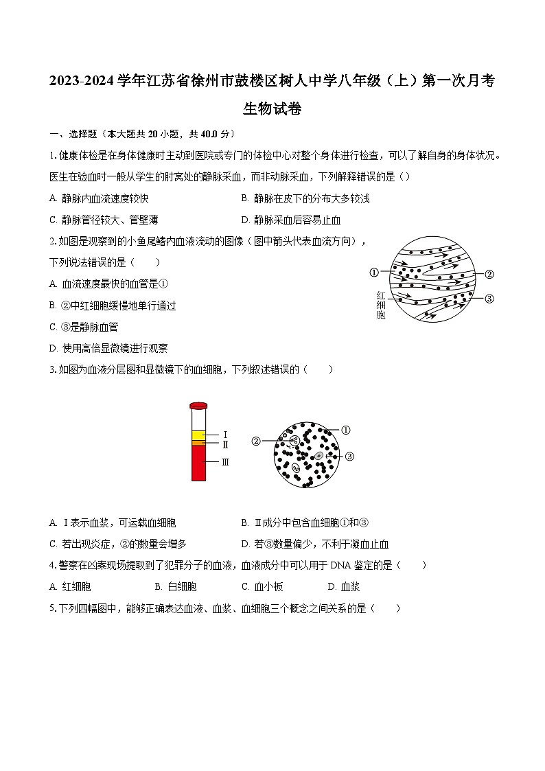 2023-2024学年江苏省徐州市鼓楼区树人中学八年级（上）第一次月考生物试卷（含解析）01