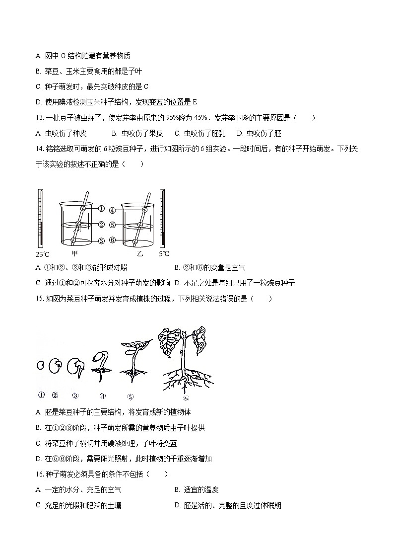 2023-2024学年山东省济宁市金乡县八年级（上）月考生物试卷（10月份）（含解析）03
