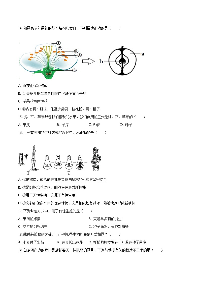 2023-2024学年山东省枣庄市市中区片区联研共同体八年级（上）月考生物试卷（10月份）（含解析）第3页
