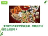 第二单元第一章第四节《细胞的生活》课件人教版生物七年级上册