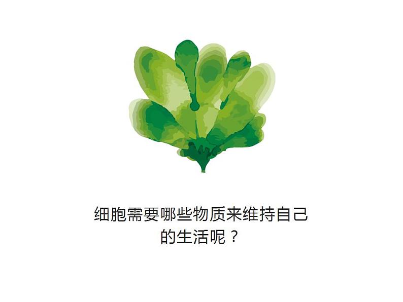 第二单元第一章第四节《细胞的生活》课件人教版生物七年级上册第4页