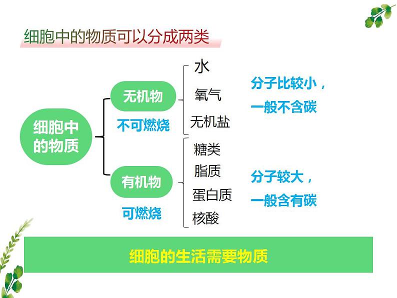 第二单元第一章第四节《细胞的生活》课件人教版生物七年级上册第7页