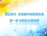 第五单元第一章第一节《腔肠动物和扁形动物》课件人教版生物八年级上册