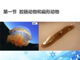 第五单元第一章第一节《腔肠动物和扁形动物》课件人教版生物八年级上册