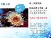 第五单元第一章第一节《腔肠动物和扁形动物》课件人教版生物八年级上册