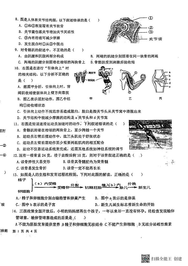 河北省廊坊市第四中学2023-2024学年八年级上学期10月月考生物试题第2页