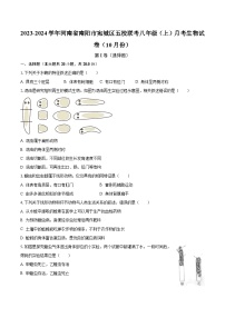 2023-2024学年河南省南阳市宛城区五校联考八年级（上）月考生物试卷（10月份）（含解析）